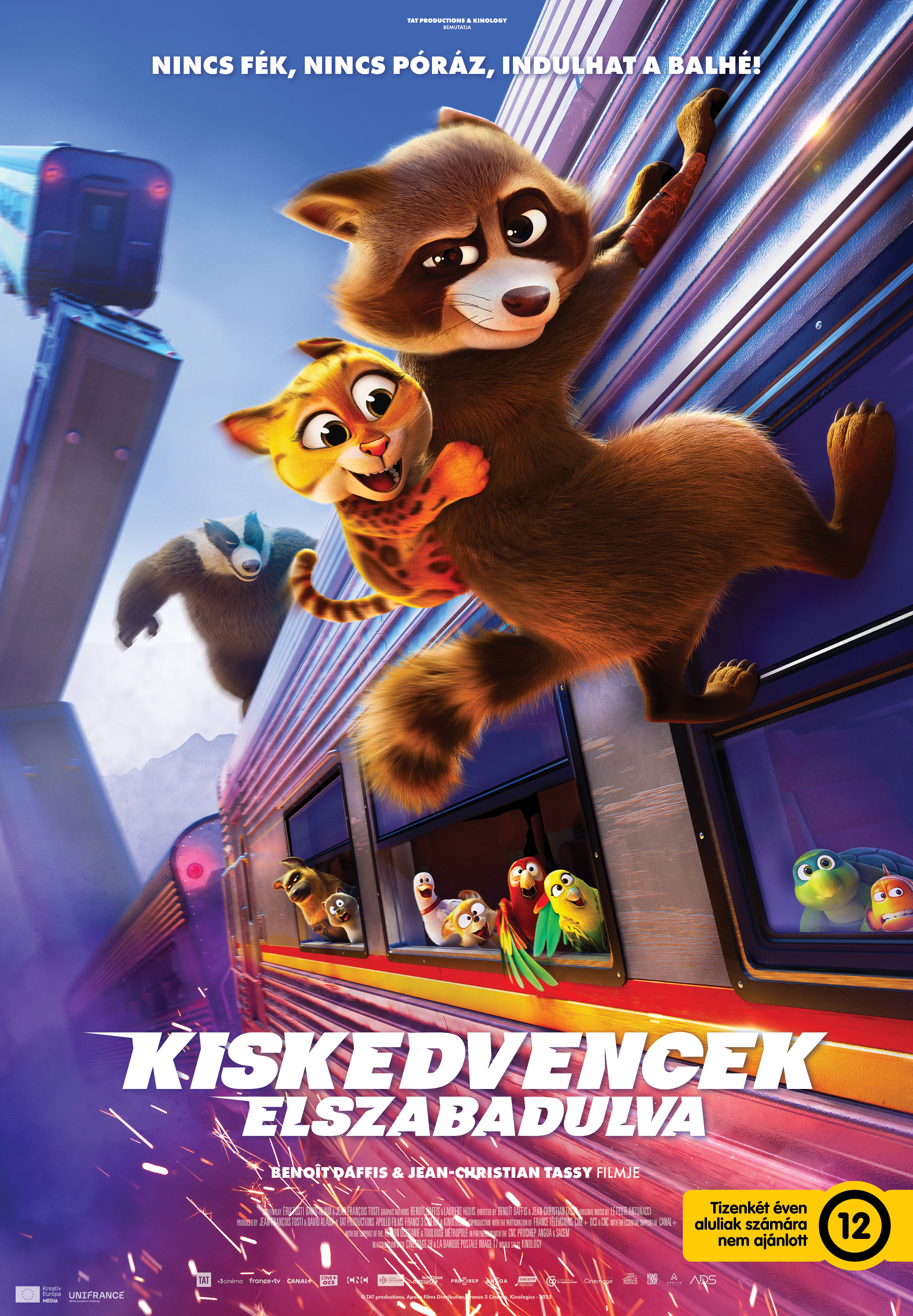 Falcon.Express.2025.1080p.TVGO.WEB-DL.AAC2.0.H.264.HUN-SNYTHOL - borítókép