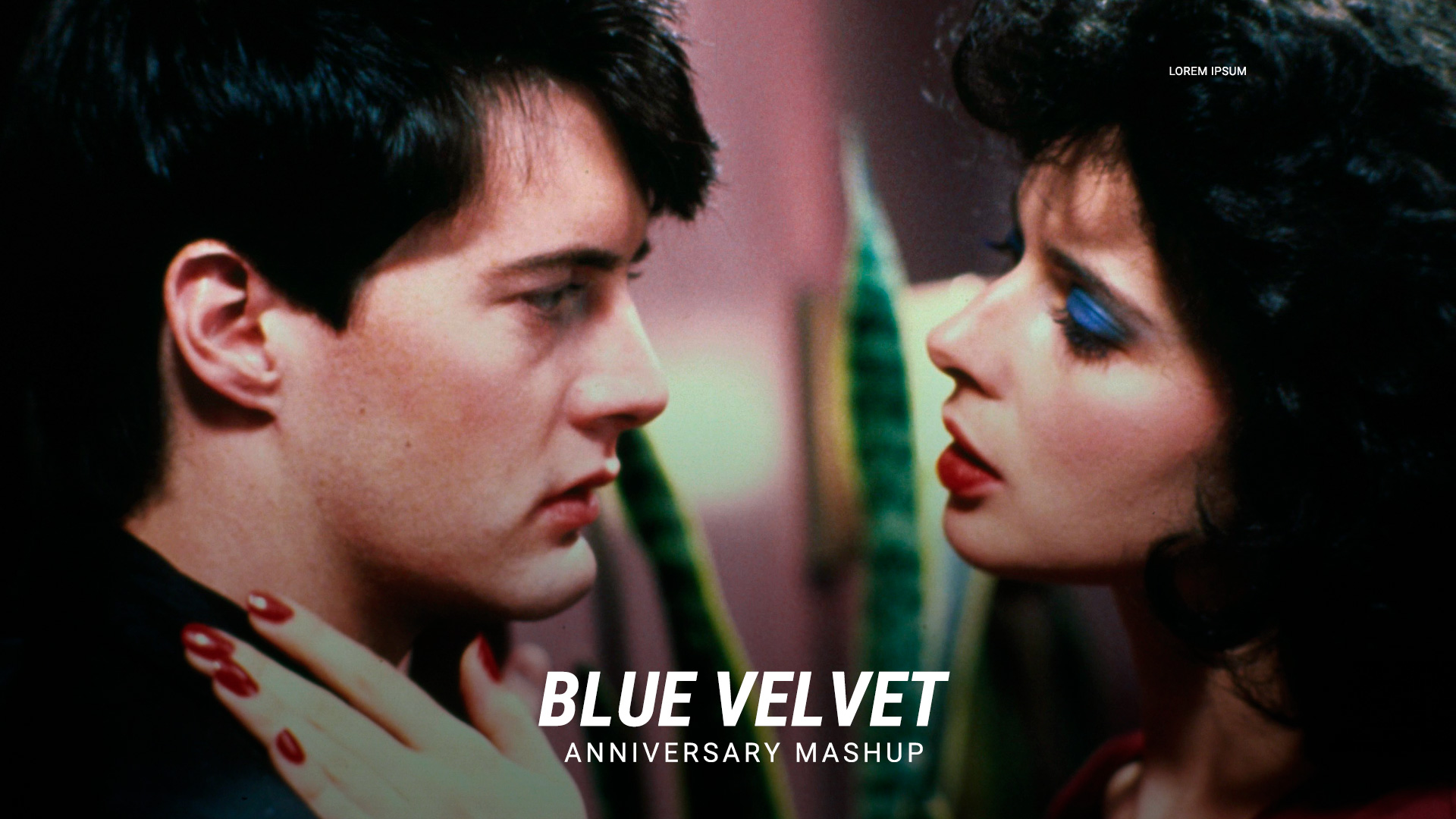 Blue.Velvet.1986.BDRip.Xvid.HuN-PpB