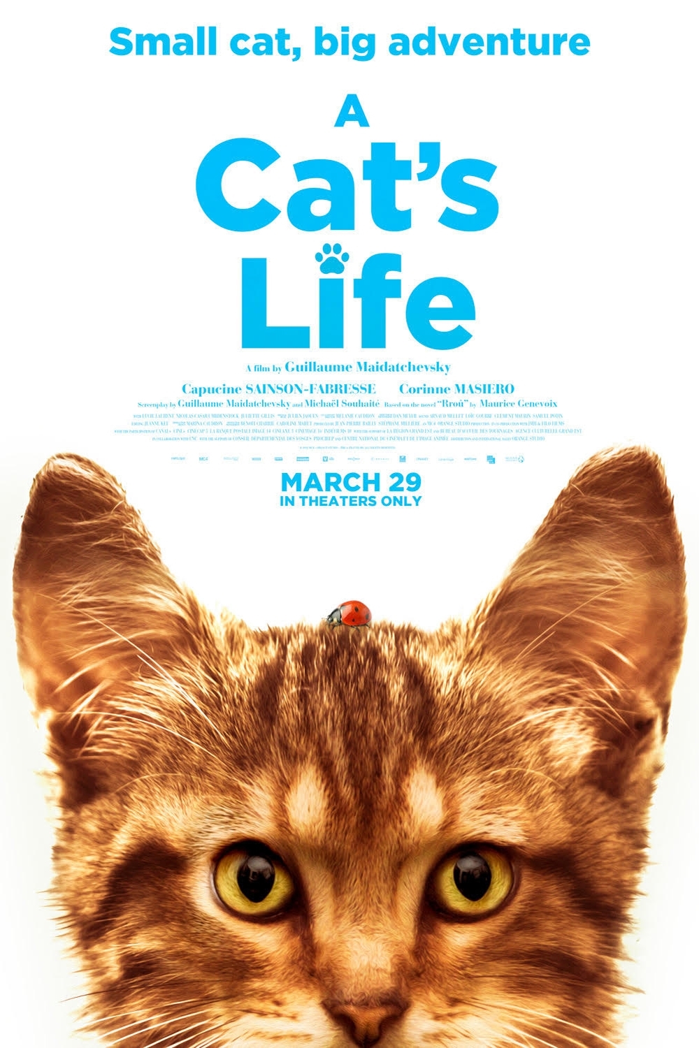 A.Cats.Life.2023.1080p.BluRay.DD+5.1.x264.HuN-No1