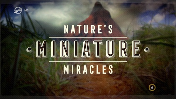 [Kép: MjM3MDY5Mg.jpg]