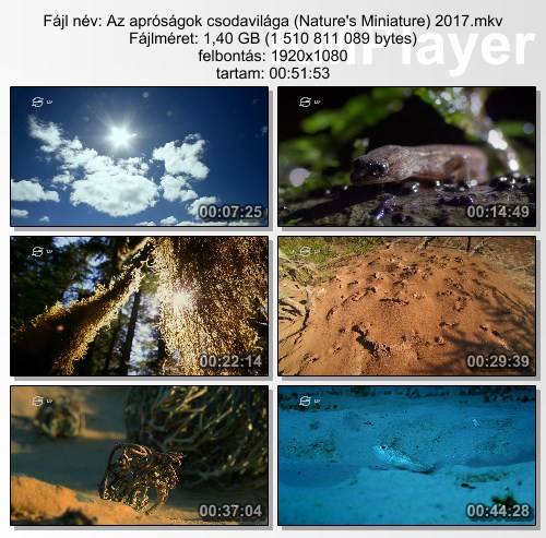 [Kép: MjM3MDY5Mw.jpg]