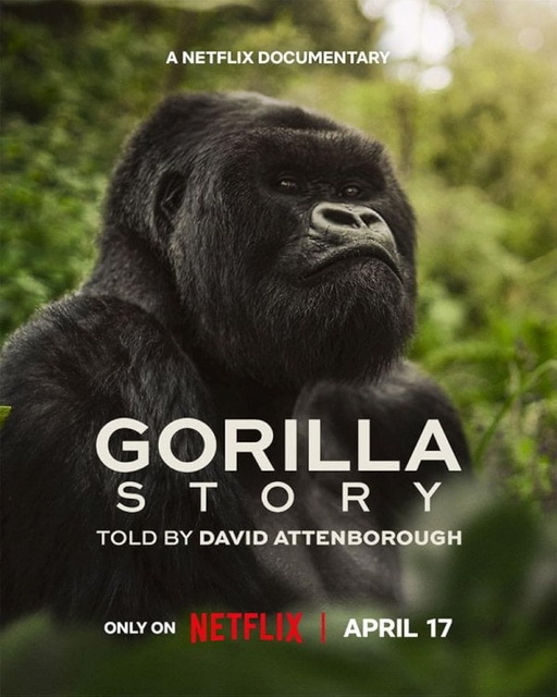 David Attenborough: Gorillák között (A Gorilla Story: Told by David Attenborough)2026