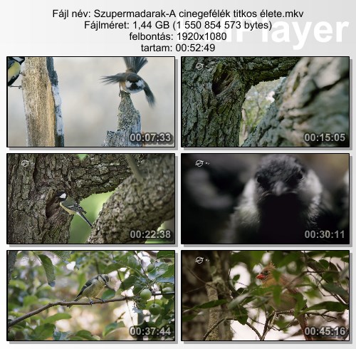 [Kép: MjM3NTE5Mg.jpg]