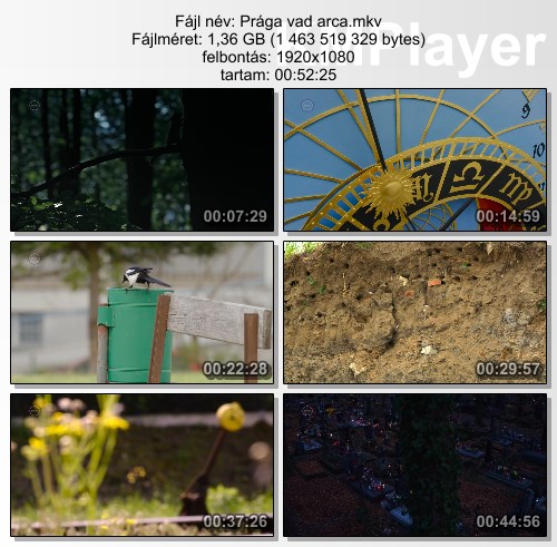 [Kép: MjM3NzA3NA.jpg]