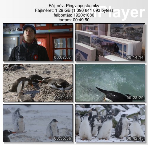 [Kép: MjM3NzMzMA.jpg]