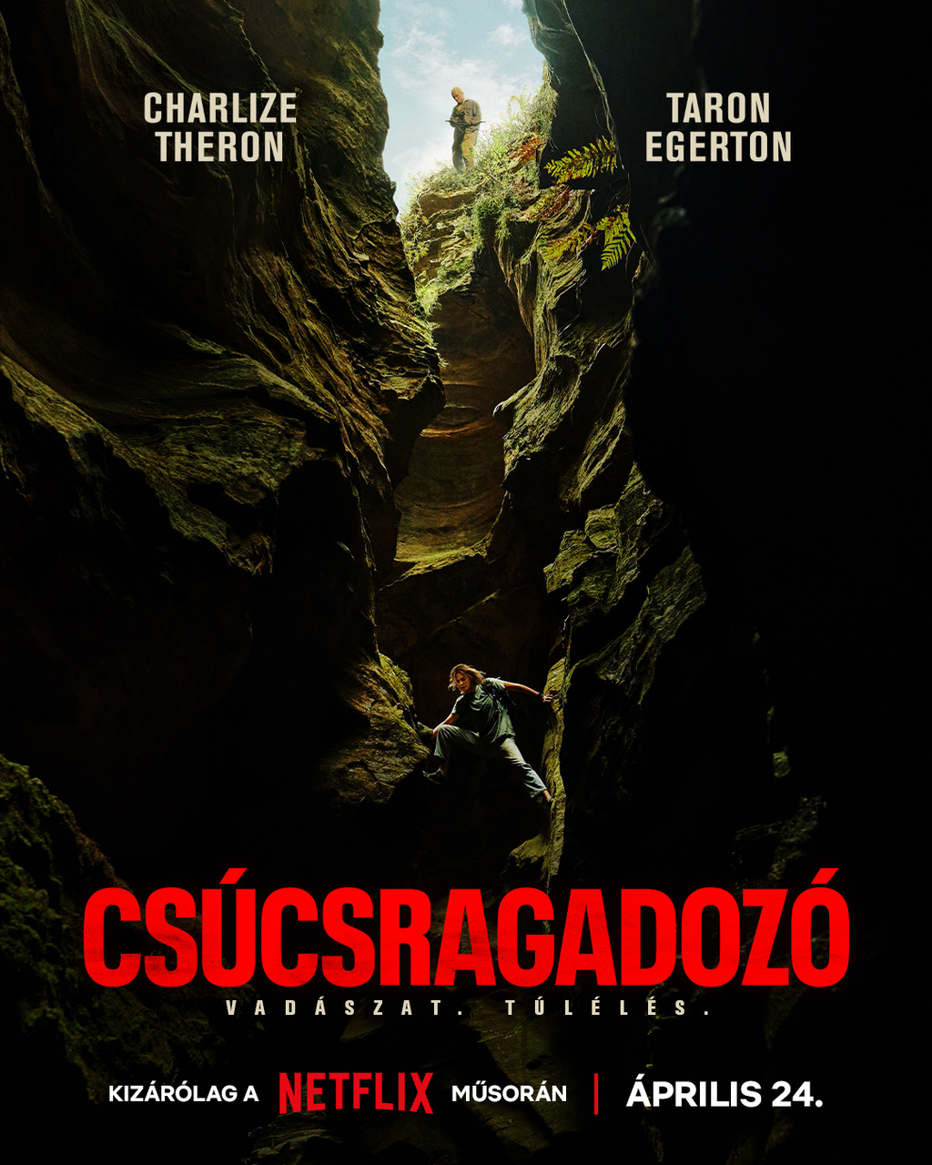 Csucsragadozo.2026.NF.WEBRiP.DD5.1.x264.HUN-BH - borítókép