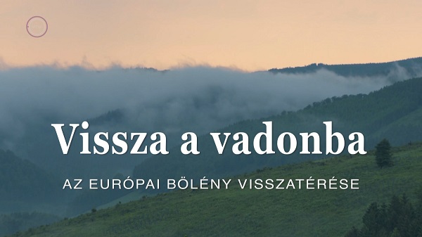 [Kép: MjM4MDM5NA.jpg]