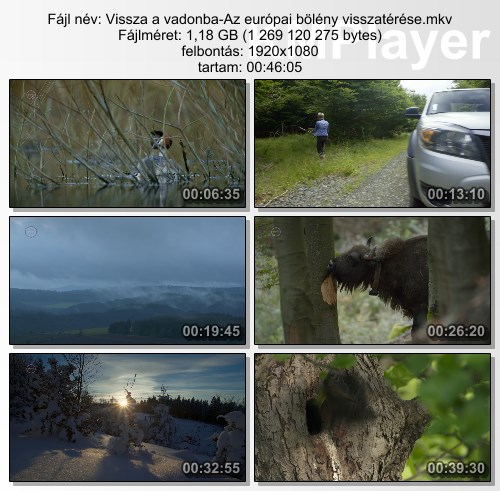 [Kép: MjM4MDM5NQ.jpg]