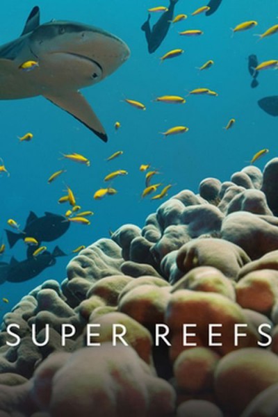 Super.Reefs.2023.1080i.HDTV.H264.HUN-AWS