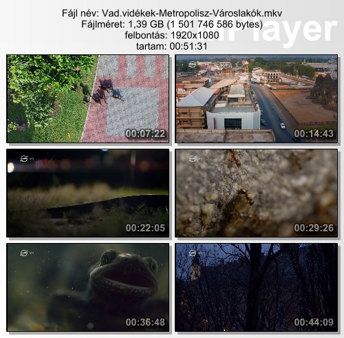 [Kép: MjQ0OTA4NA.jpg]