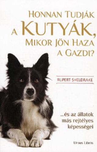 [Kép: MjQ1MTY1NQ.jpg]