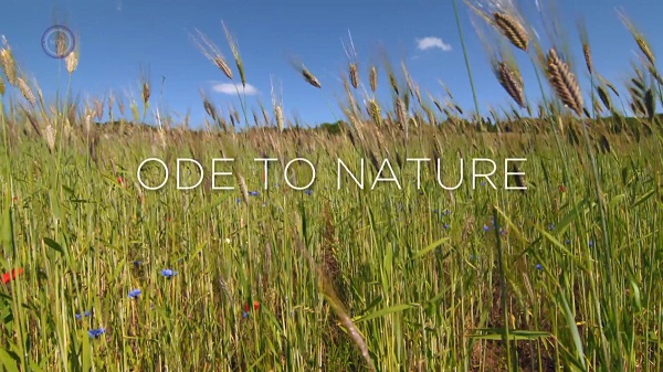 Óda a természethez (Ode to nature) 2021 1080p WEB-DL H264 Hun mkv