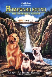 Uton.hazafele.1993.DVDRip.Xvid.HUN-D69