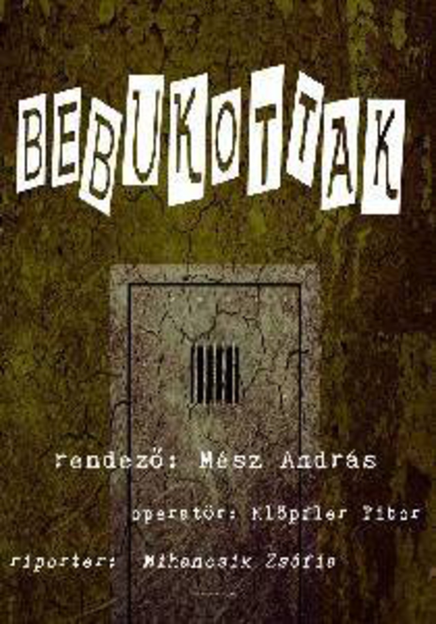 Bebukottak.1995.CUSTOM.HUN.DVDRip.Xvid-Atyus - borítókép