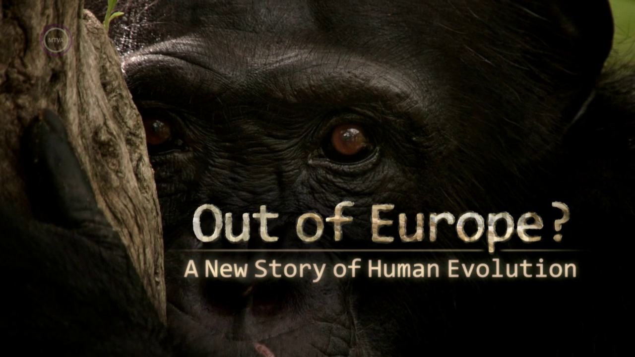 Egy.uj.elmelet.az.emberi.evoluciorol.2020.DOCU.720p.MKLK.WEB-DL.AAC2.0.H.264.HuN-Bear - borítókép