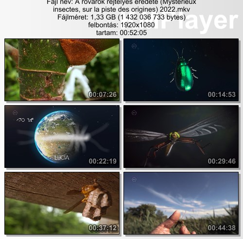 [Kép: v8IuYYkax4gWKF9kVIalKg.jpg]