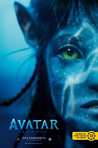 Avatar2.-A.Viz.Utja.2022.CAM.HUN.cinema.zsozso - borítókép