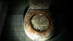 6568_77ee778c771b.png