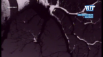 7606_194d77eebf59.png