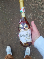 6123_cb15dfc3d529.png