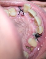 4379_a2c7d3dfd1b1.jpg