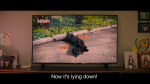 5012_b22b95a5a809.png