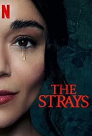The.Strays.2023.NF.WEBRiP.DD5.1.x264.HuN-B9R - borítókép