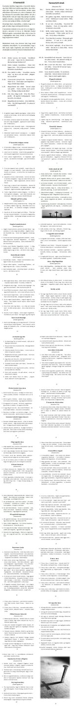 8575_50fcba2dc21f.jpg
