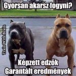 8639_c13cf503d245.jpg