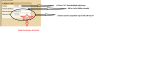 4641_2f0f37a08434.png