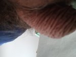 2075_f5535772e8cb.jpg