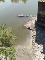4074_c282fe0c9663.jpg