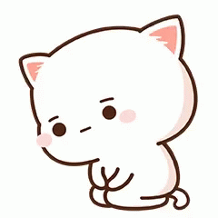 6425_fb5ca1c9f6e5.gif
