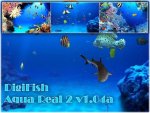 8551_27d58fb8e9a5.jpg