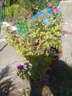 6494_205c9da119f3.jpg