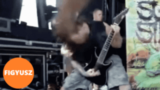 5692_79a8cd5b24a8.gif